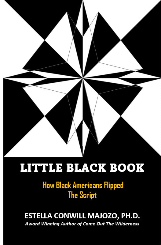 LITTLE BLACK BOOK: How Black Americans Flipped The Script + 2 copies Willie Lynch Letters free