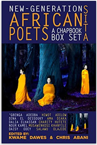 New-Generation African Poets: A Chapbook Box Set (Sita)