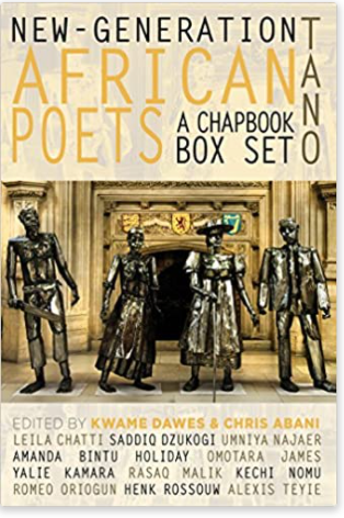 New-Generation African Poets: A Chapbook Box Set (Tano)