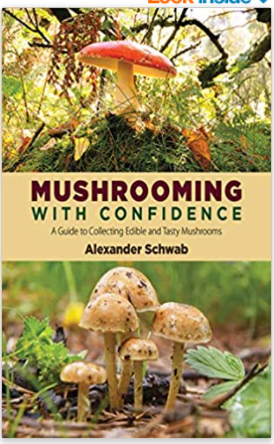 Mushrooming with Confidence: A Guide to Collecting Edible and Tasty Mushrooms