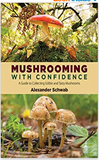 Mushrooming with Confidence: A Guide to Collecting Edible and Tasty Mushrooms