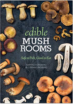Edible Mushrooms: Safe to Pick, Good to Eat