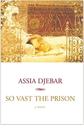 So Vast the Prison: A Novel