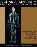 A Clinical Manual of Practical Oriental Medicine: Breakthrough: Integrated Synergy Therapeutics