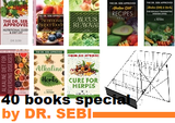 The Dr. Sebi Special Bookstore offer with FREE Wire Display Rack