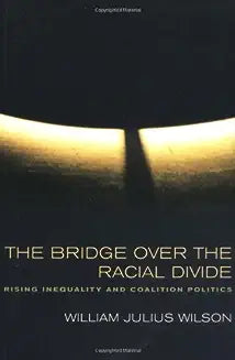 The Bridge Over the Racial Divide: Rising Inequality and Coalition Politics Volume 2