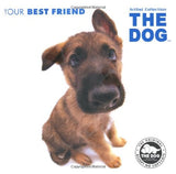 Dog : Your Best Friend