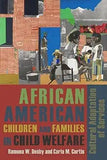 African American Children and Families in Child Welfare: Cultural Adaptation of Services