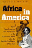 Africa in America: Slave Acculturation and Resistance in the American South and the British Caribbean, 1736-1831