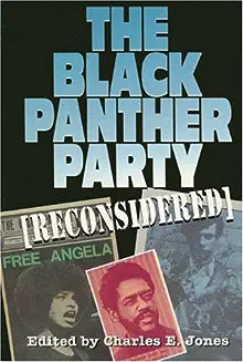 The Black Panther Party Reconsidered