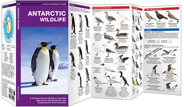 Antarctic Wildlife (Nature Observation International)