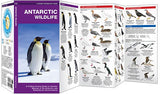 Antarctic Wildlife (Nature Observation International)