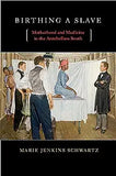 Birthing a Slave: Motherhood and Medicine in the Antebellum South