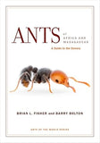 Ants of Africa and Madagascar: A Guide to the Genera (First Edition, Vol. 2)