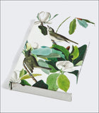8-Pen Set: Warbling Flycatcher James Audubon, 8 Ballpoint Pens, Unique Paper