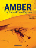 Amber : Natural Time Capsule