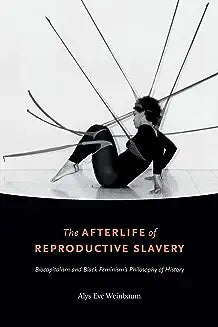 The Afterlife of Reproductive Slavery: Biocapitalism and Black Feminism's Philosophy of History