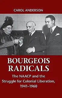 Bourgeois Radicals