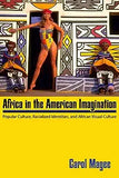 Africa in the American Imagination: Popular Culture, Radicalized Identities, and African Visual Culture