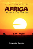 Africa: Through the Window