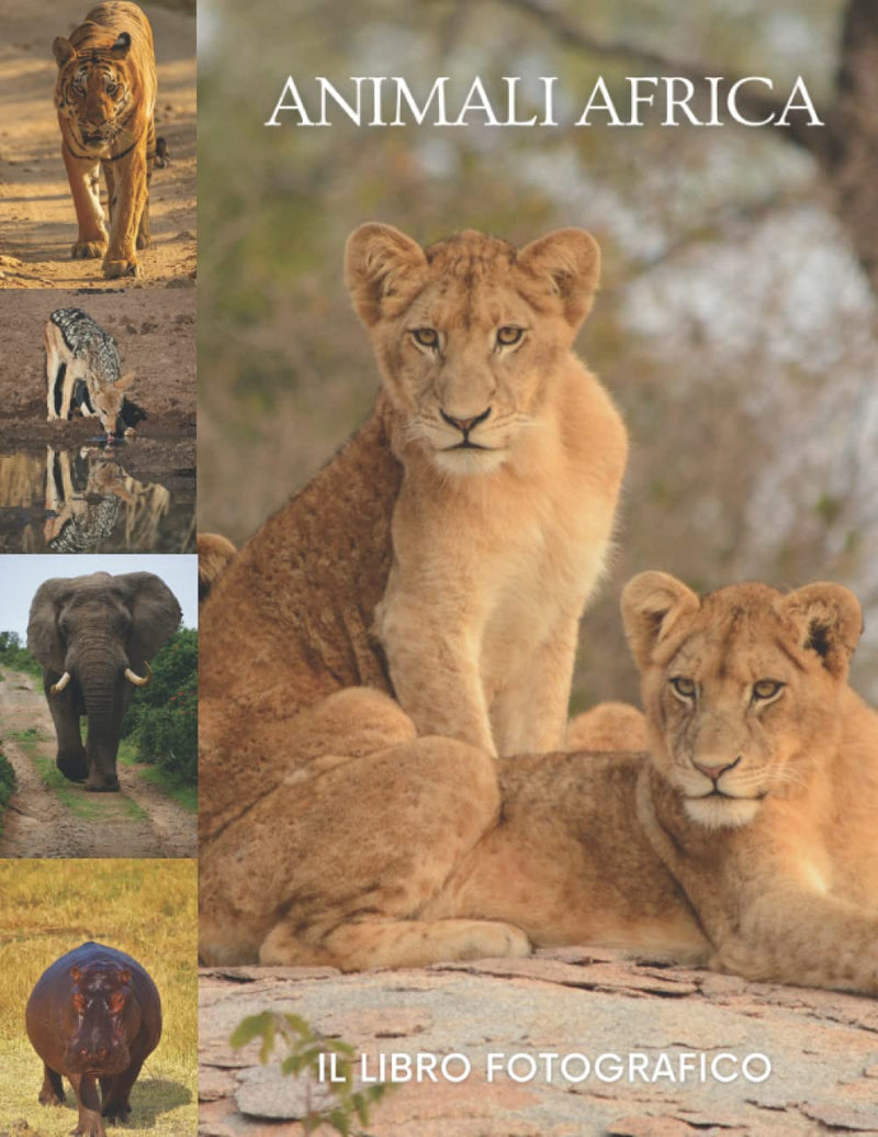 Animali Africa: Il libro fotografico di animali incredibili Africa per gli anziani, adulti con demenza di Alzheimer, e pazienti per aiutare