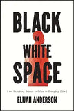Black in White Space: The Enduring Impact of Color in Everyday Life