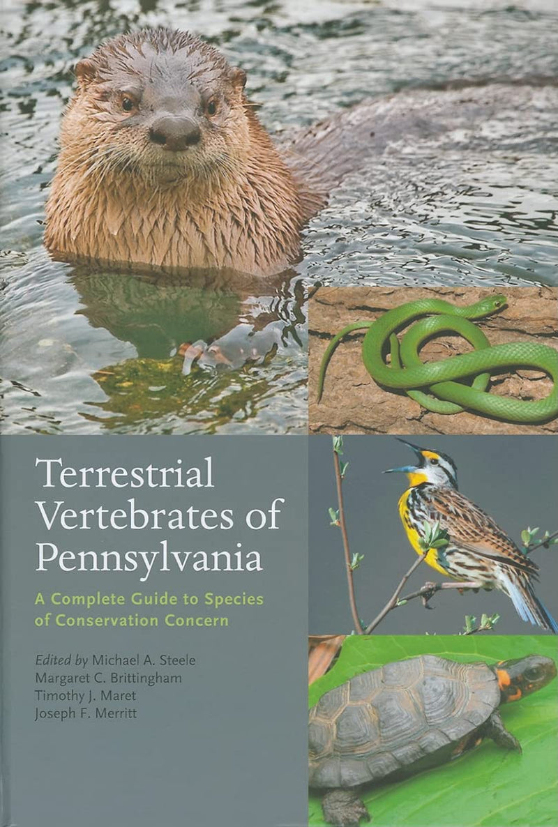 Terrestrial Vertebrates of Pennsylvania : Complete Guide to Species of Conservation Concern