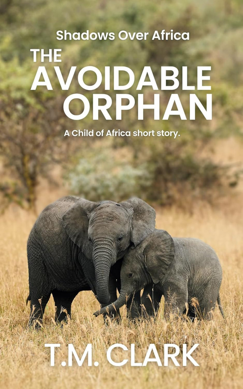 The Avoidable Orphan: a Child of Africa Story