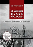 12 Million Black Voices (Reprint)