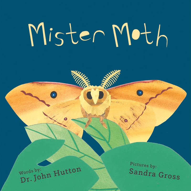 Mister Moth