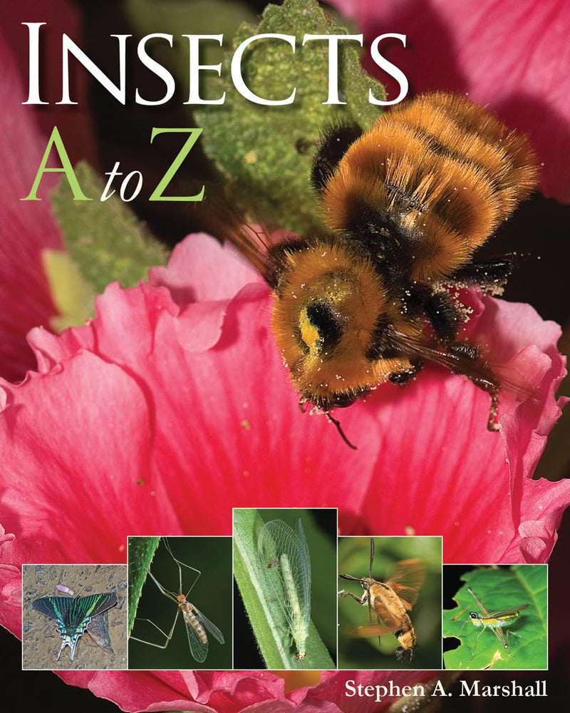 Insects A to Z (Paperback)