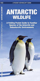 Antarctic Wildlife (Nature Observation International)