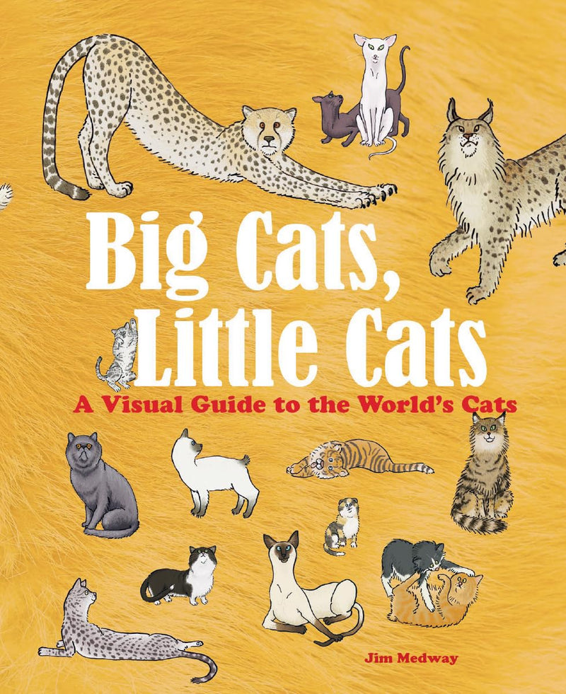 Big Cats, Little Cats: A Visual Guide to the World's Cats