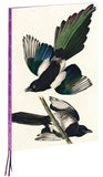 A4 Notebook: Magpies by James Audubon, Hardcover - 230 Dot-Grid Pages