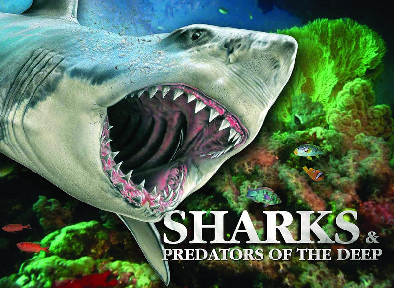 Sharks and Predators of the Deep