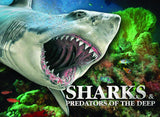 Sharks and Predators of the Deep