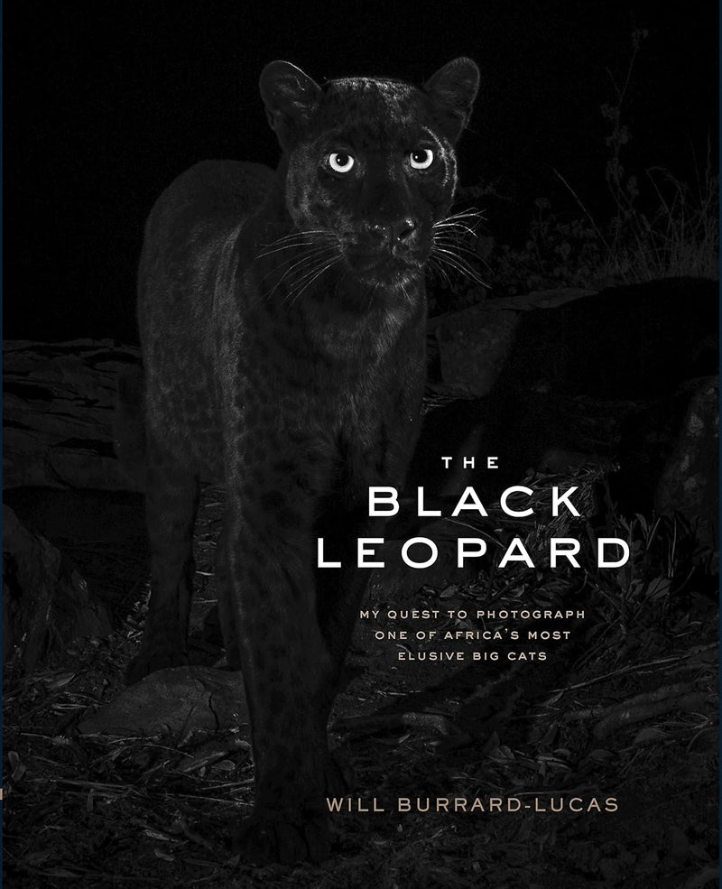 The Black Leopard: My Quest to Photograph One of Africa's Most Elusive Big Cats
