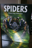 Spiders Photo-Fact Collection