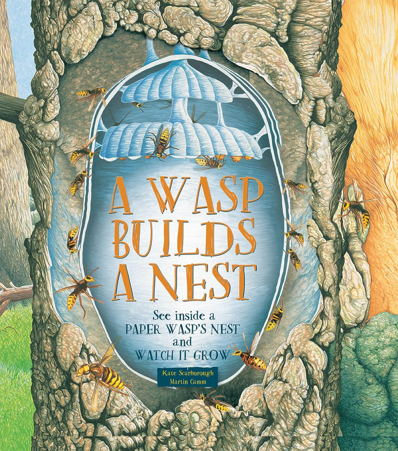 Wasp Builds a Nest: See Inside a Paper Wasp's Nest and Watch It Grow