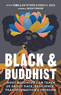 Black and Buddhist: What Buddhism Can Teach Us about Race, Resilience, Transformation, and Freedom