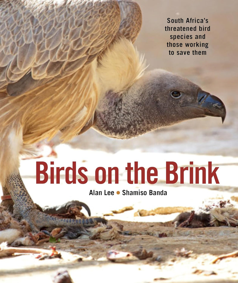 Birds on the Brink: South Africa's Threatened Birds and Those Working to Save Them