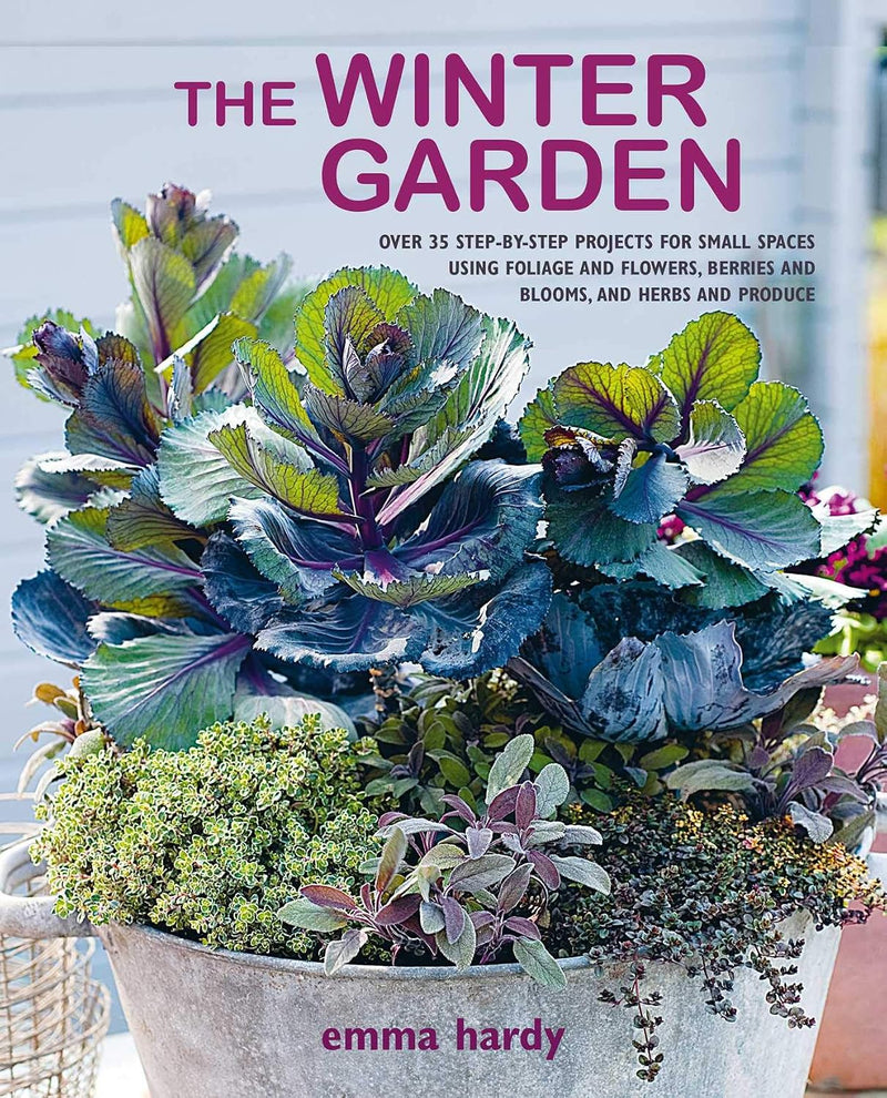 Winter Garden: Over 35 step-by-step projects for small spaces using foliage and flowers