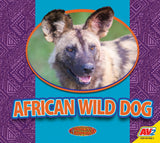 African Wild Dog