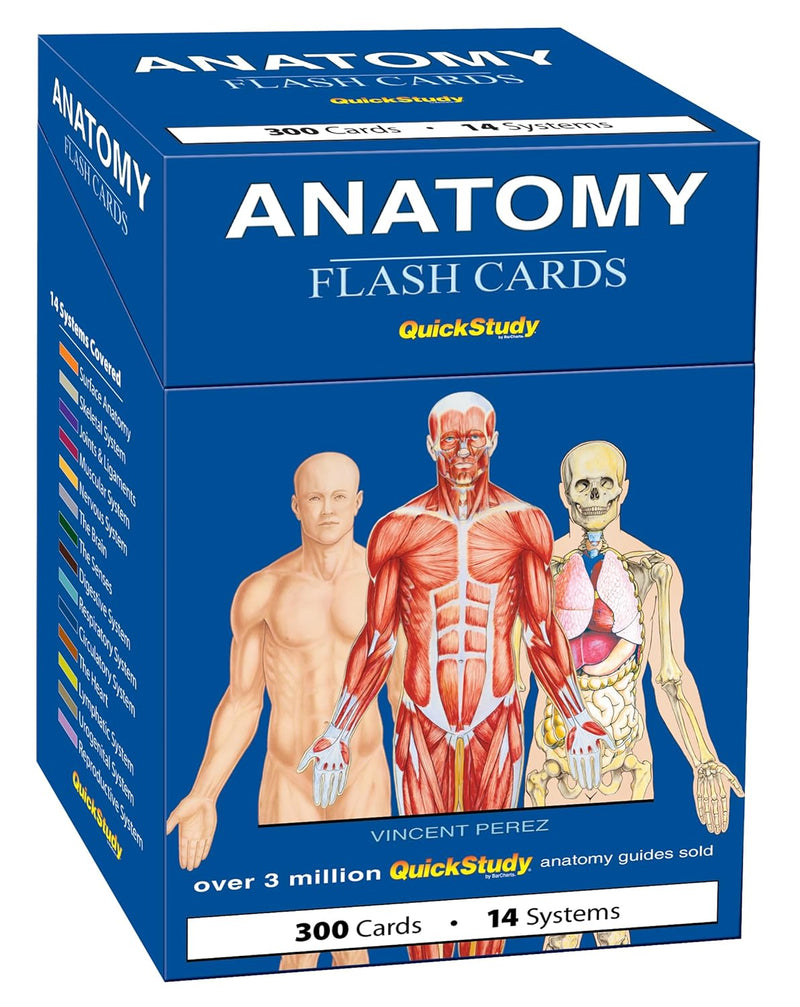 Anatomy Flash Cards: a QuickStudy Reference & Study Tool