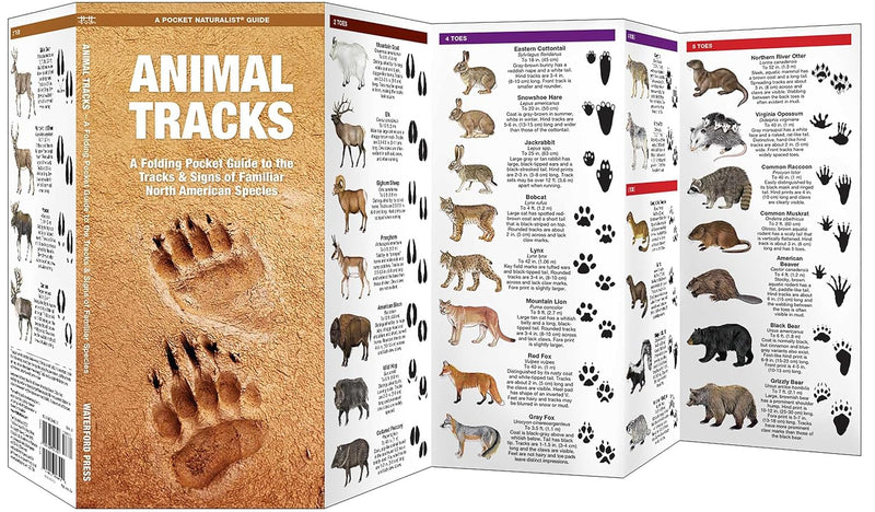 Animal Tracks (Nature Observation North America)