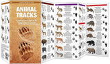 Animal Tracks (Nature Observation North America)