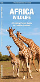 Africa Wildlife: A Folding Pocket Guide to Familiar Animals