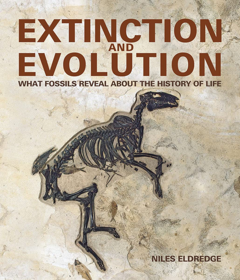 Extinction and Evolution: What Fossils Reveal About the History of Life