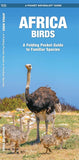 Africa Birds: A Folding Pocket Guide to Familiar Species