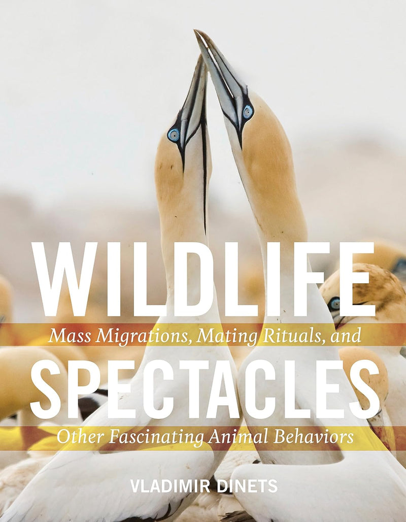 Wildlife Spectacles : Mass Migrations, Mating Rituals, and Other Fascinating Animal Behaviors